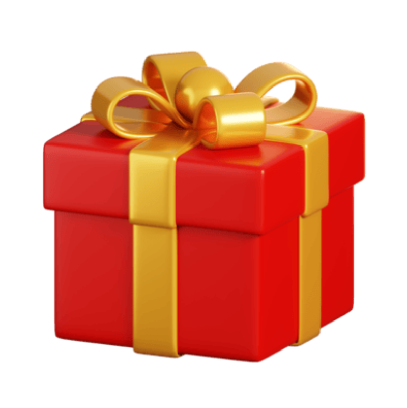 Mystery Surprise Gift